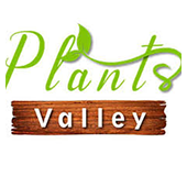 Plants Valley